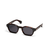 Lunettes de soleil Peter And May NO DRAMA TORTOISE / BLACK - Vignette du produit 2/3