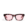 Gafas de sol Peter And May P&M VAILLANT PINK TORTOISE / PINK - Miniatura del producto 1/3