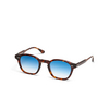 Peter And May PM PALACE SUN Sunglasses TORTOISE / FADE BLUE - product thumbnail 2/3