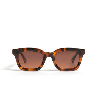 Peter And May VELVETEEN SUN Sonnenbrillen TOKYO TORTOISE / STORM - Vorderansicht