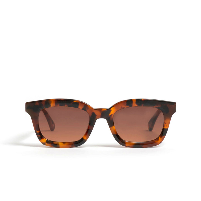 Peter And May VELVETEEN SUN Sonnenbrillen TOKYO TORTOISE / STORM - 1/3