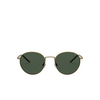 Lunettes de soleil Polo Ralph Lauren PH3133 932471 semi-shiny brass - Vignette du produit 1/3