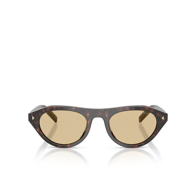 Prada PR B15S Sunglasses 17N70R root tortoise - 1/4