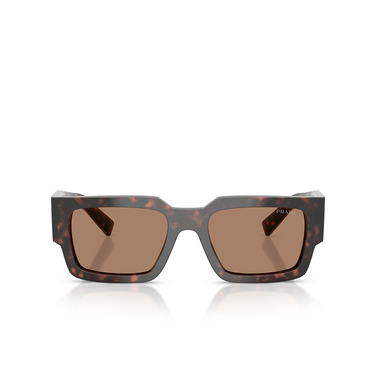 Prada PR B17S 17N06B root tortoise - Vorderansicht