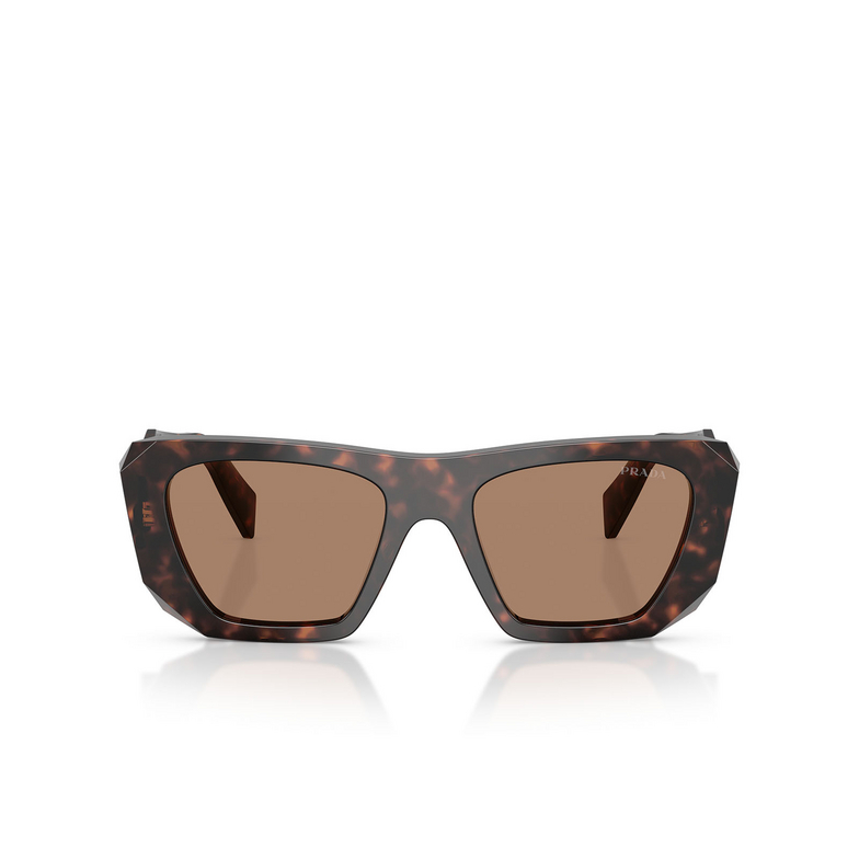 Prada PR B18S 17N06B root tortoise - 1/4