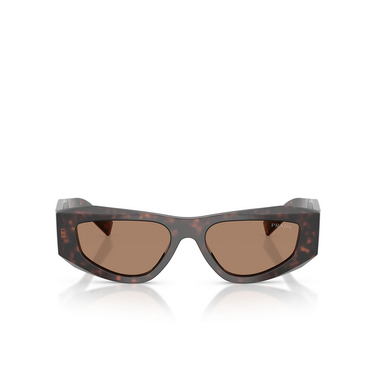 Prada PR B19S 17N06B root tortoise - Vorderansicht