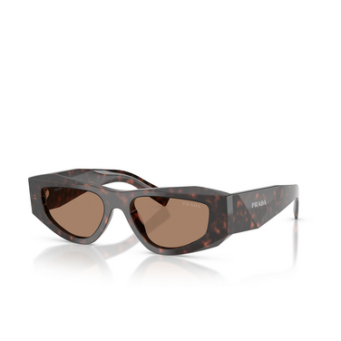 Prada PR B19S 17N06B root tortoise - Dreiviertelansicht