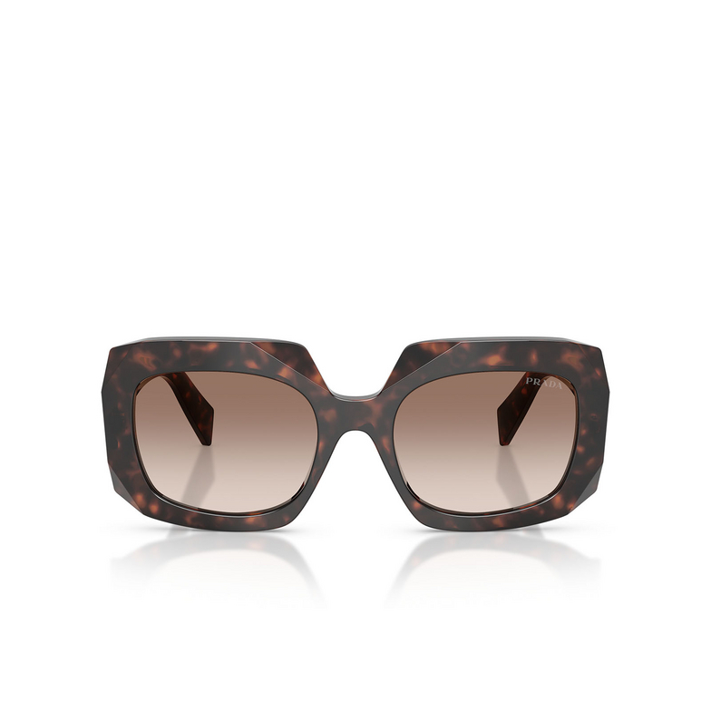 Prada PR B23S 17N10S root tortoise - 1/4