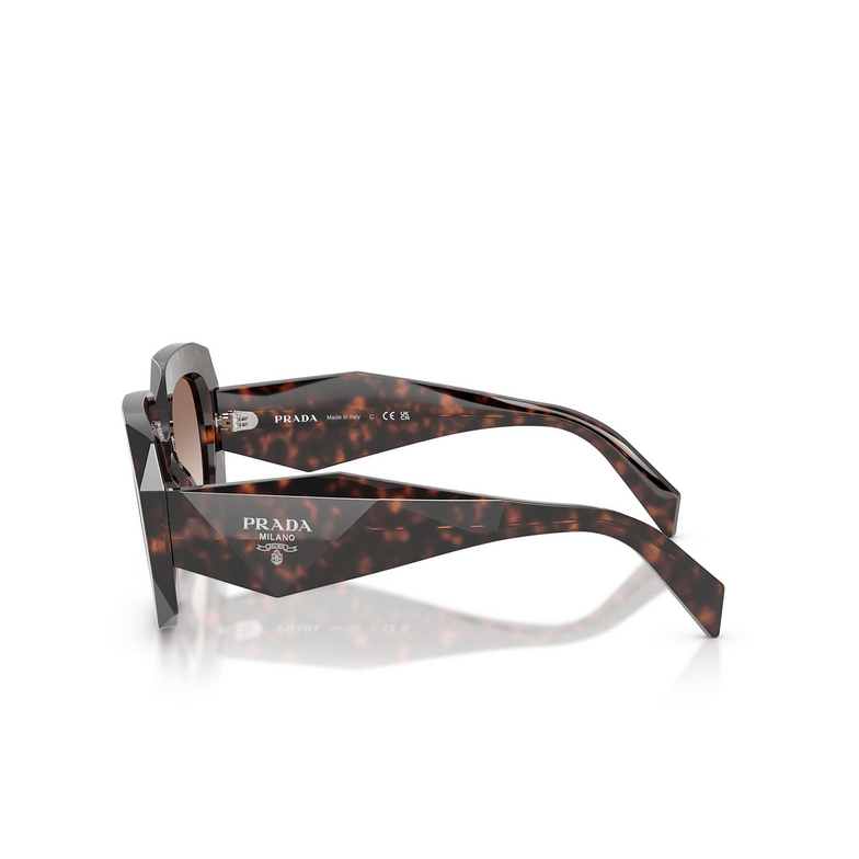 Prada PR B23S 17N10S root tortoise - 3/4