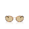 Prada PR B56S Sunglasses 21E10R root tortoise - product thumbnail 1/4