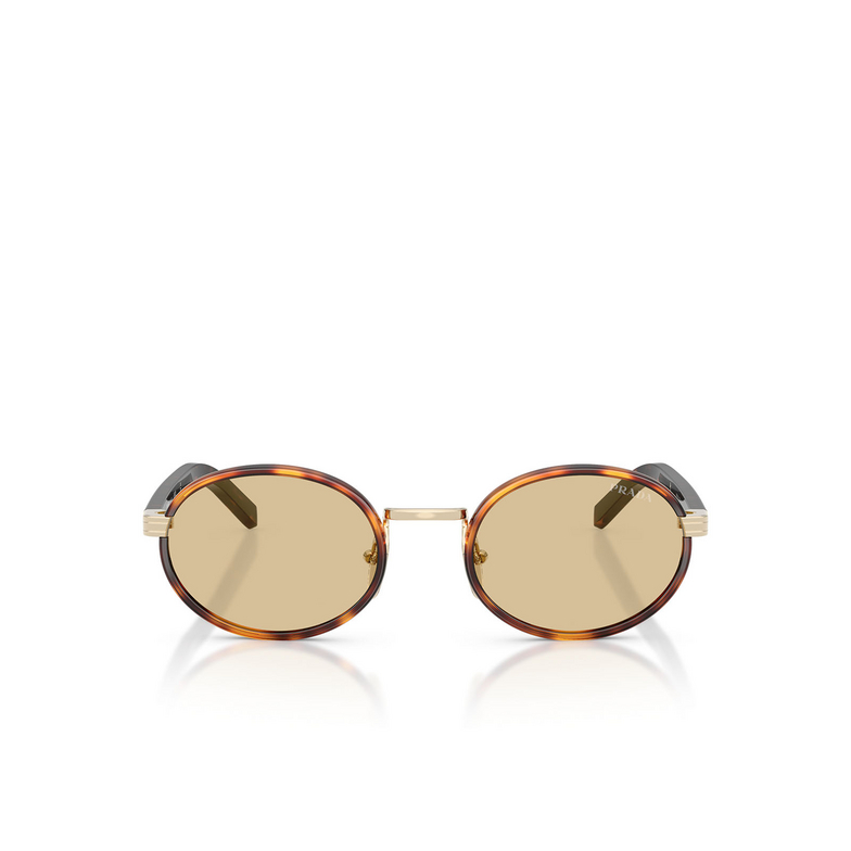 Prada PR B56S Sunglasses 21E10R root tortoise - 1/4
