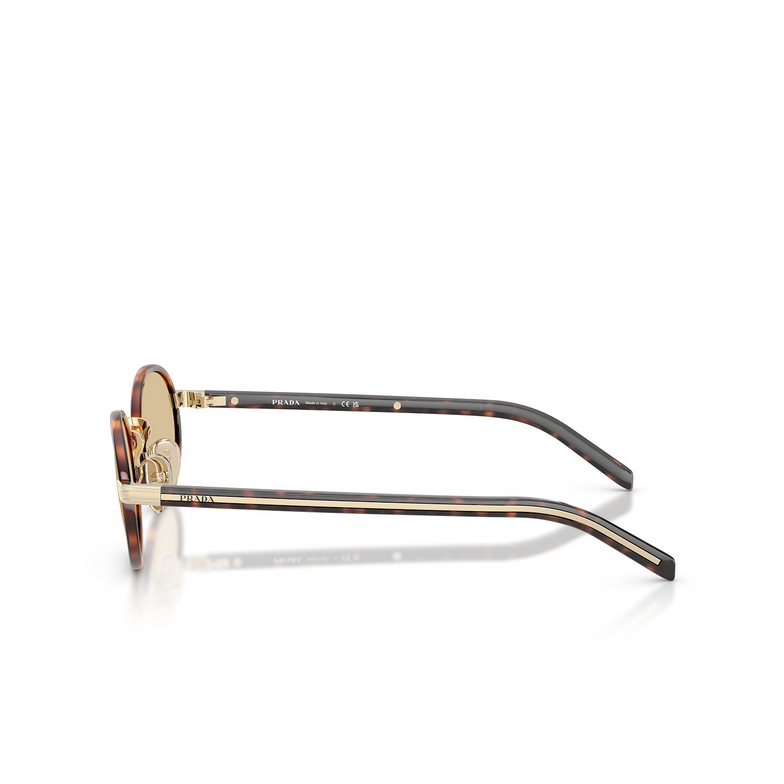 Prada PR B56S Sunglasses 21E10R root tortoise - 3/4