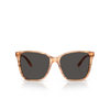 Lunettes de soleil Ralph Lauren RL8201 617987 oystershell brown - Vignette du produit 1/4