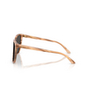 Lunettes de soleil Ralph Lauren RL8201 617987 oystershell brown - Vignette du produit 3/4