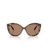 Ralph Lauren RL8225U Sunglasses 500373 dark havana - product thumbnail 1/4