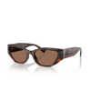 Lunettes de soleil Ralph Lauren RL8231U 624173 light havana - Vignette du produit 2/4