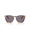 Ralph Lauren RL8233U Sonnenbrillen 51341A antique havana - Produkt-Miniaturansicht 1/4
