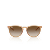 Lunettes de soleil Ray-Ban ERIKA 681413 rubber beige - Vignette du produit 1/4