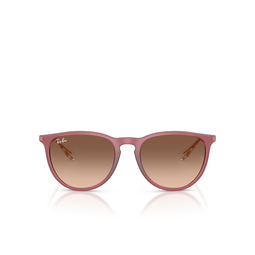 Lunettes de soleil Ray-Ban ERIKA 6815A5 rubber violet