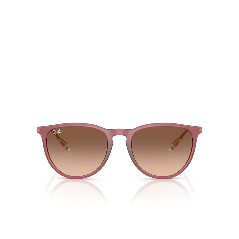 Gafas de sol Ray-Ban ERIKA 6815A5 rubber violet - 1/4