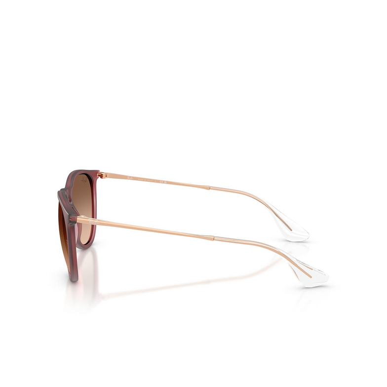 Gafas de sol Ray-Ban ERIKA 6815A5 rubber violet - 3/4