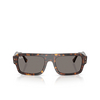 Ray-Ban LUKAS Sonnenbrillen 1359B1 havana - Produkt-Miniaturansicht 1/4
