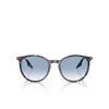 Gafas de sol Ray-Ban RB2204 14303F havana blue tortoiseshell - Miniatura del producto 1/4