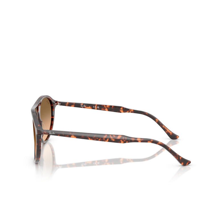 Occhiali da sole Ray-Ban RB2215 14293B havana red tortoiseshell - 3/4