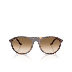 Gafas de sol Ray-Ban RB2215 902/51 havana