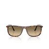 Lunettes de soleil Ray-Ban RB2216 14290A havana red tortoiseshell - Vignette du produit 1/4