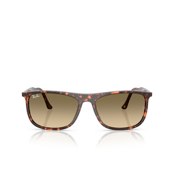 Lunettes de soleil Ray-Ban RB2216 14290A havana red tortoiseshell