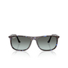 Lunettes de soleil Ray-Ban RB2216 1430GK havana blue tortoiseshell - Vignette du produit 1/4