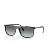 Lunettes de soleil Ray-Ban RB2216 1430GK havana blue tortoiseshell - Vignette du produit 2/4