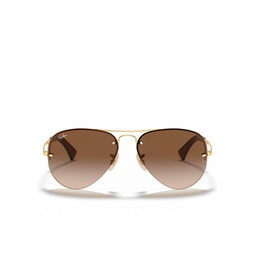 Ray-Ban RB3449 Sonnenbrillen 001/13 gold