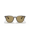 Occhiali da sole Ray-Ban RB4258F 710/73 light havana - anteprima prodotto 1/4