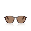 Ray-Ban RB4459D Sonnenbrillen 623173 opal brown - Produkt-Miniaturansicht 1/4