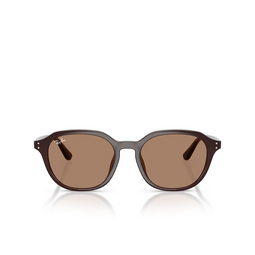 Ray-Ban RB4459D Sonnenbrillen 623173 opal brown