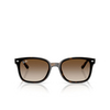 Lunettes de soleil Ray-Ban RB4461D 710/13 havana - Vignette du produit 1/4