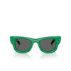 Occhiali da sole Ray-Ban WAYFARER PUFFER 683487 green - anteprima prodotto 1/4