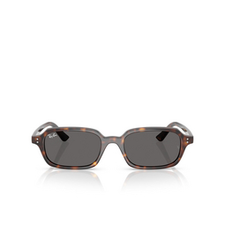 Occhiali da sole Ray-Ban ZAYA 135987 havana