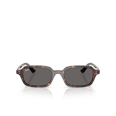 Ray-Ban ZAYA Sonnenbrillen 135987 havana - Vorderansicht