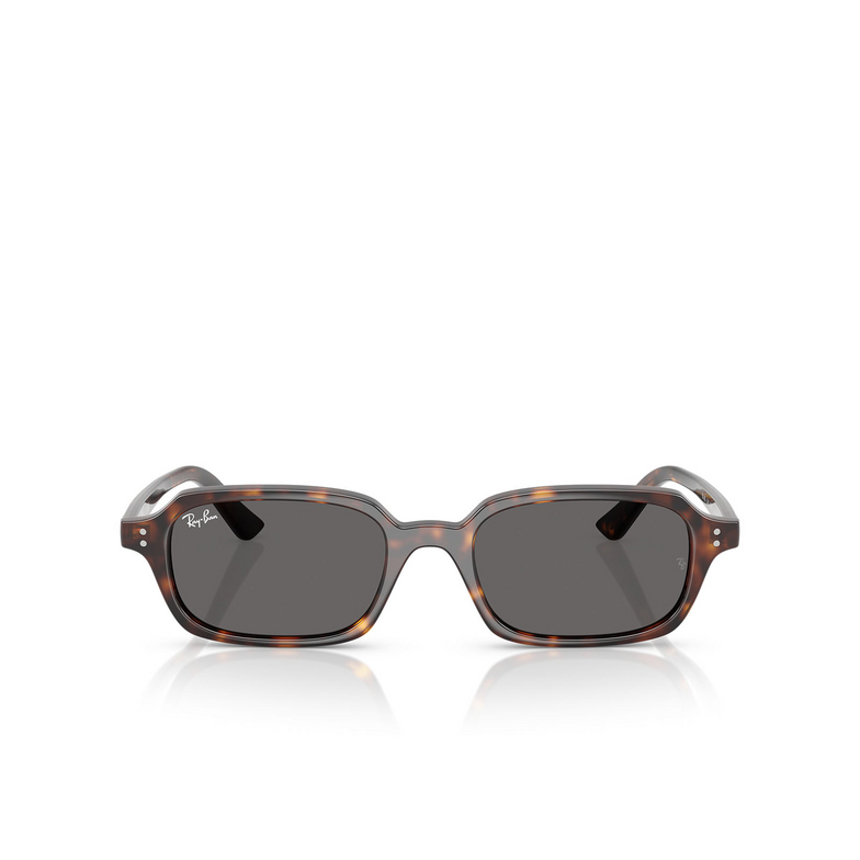 Ray-Ban ZAYA Sonnenbrillen 135987 havana - 1/4