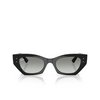 Ray-Ban ZENA Sunglasses 667711 black - product thumbnail 1/4