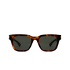Saint Laurent SL 790 Sunglasses 003 havana - product thumbnail 1/4