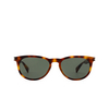 Saint Laurent SL 797 Sunglasses 003 havana - product thumbnail 1/4