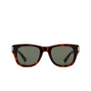 Saint Laurent SL 801 Sunglasses 005 havana - product thumbnail 1/4