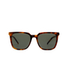 Gafas de sol Saint Laurent SL M146 003 havana - Miniatura del producto 1/4