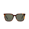 Saint Laurent SL M146/K Sunglasses 003 havana - product thumbnail 1/4