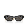 Occhiali da sole Swarovski SK6036U 107687 black - anteprima prodotto 1/4