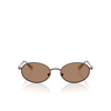 Occhiali da sole Swarovski SK7033 400273 brown - anteprima prodotto 1/4